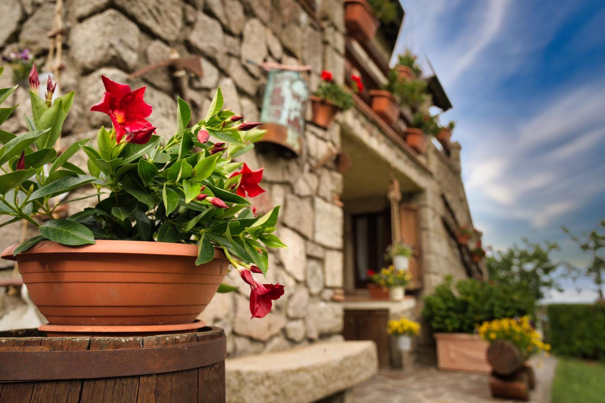 Agriturismo Biagiotti อับบาเดียซานซัลวาตอเร ภายนอก รูปภาพ